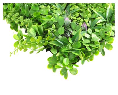 Imagen 2 del producto Arbusto artificial cuadrado 50x50 cm helecho verde Roots