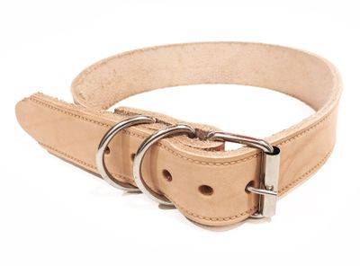 Imagen 1 del producto Collar L café Pets&Friends