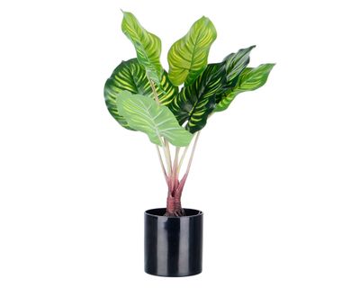 Planta artificial Calatea Outzen