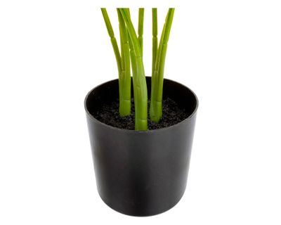 Imagen 2 del producto Planta artificial Strelitzia Outzen