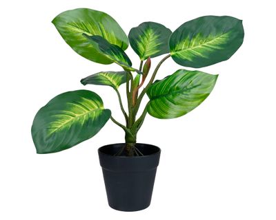 Planta artificial Croton A Outzen.