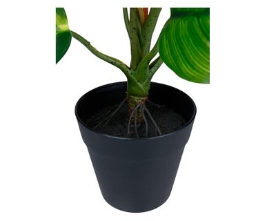 Imagen 2 del producto Planta artificial Croton A Outzen.