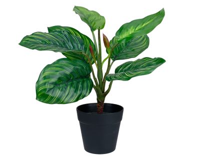 Planta artificial Croton B Outzen.