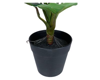 Imagen 2 del producto Planta artificial Croton D Outzen.