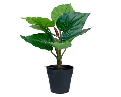 Imagen 1 del producto Planta artificial Croton D Outzen.