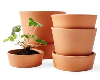 Imagen 2 del producto Plato 15 cm terrarcilla