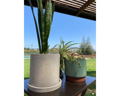 Imagen 2 del producto Macetero M Cilindro cemento Decogreen