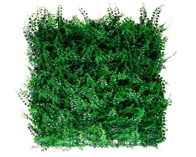 Imagen 1 del producto Jardín vertical helecho 50x50 cm Fern