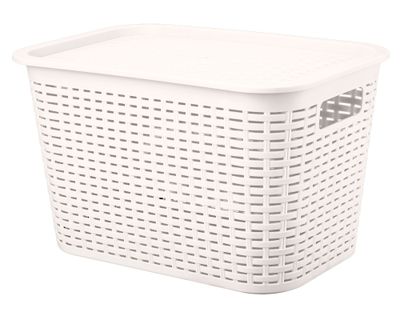 Imagen 2 del producto Caja organizadora Tavarua 22 litros beige