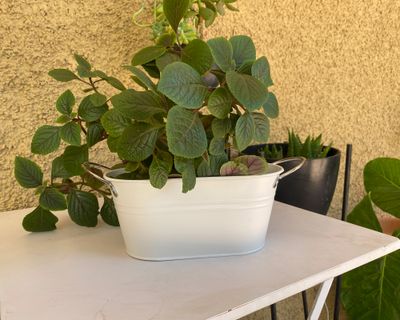 Imagen 2 del producto Macetero metálico blanco 12x24x10 cm