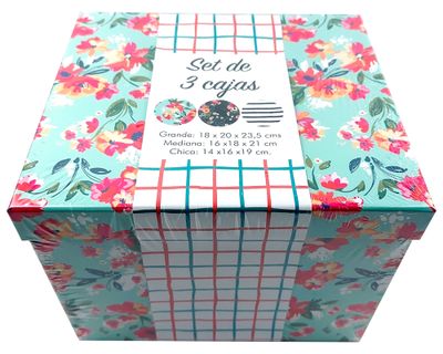 Imagen 1 del producto Caja organizadora 3 piezas