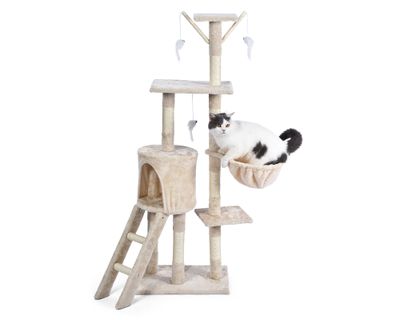 Imagen 2 del producto Rascador para gatos claro