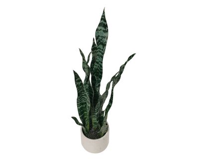 Imagen 2 del producto Planta artificial con maceta Sansevieria