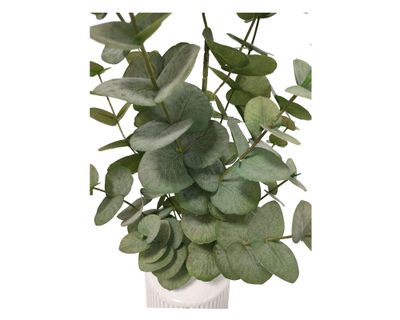 Imagen 2 del producto Planta artificial con maceta Eucalipto