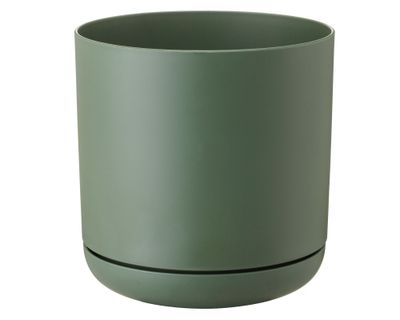 Maceta Oleander verde 15 cm