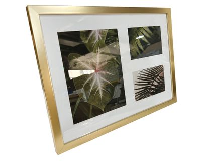 Imagen 2 del producto Multifoto 3 fotografías