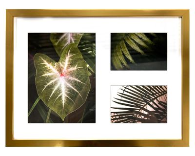 Multifoto 3 fotografías