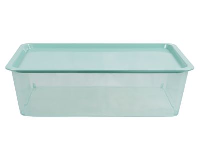 Caja organizadora menta 13 lt