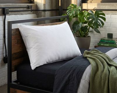 Imagen 2 del producto Almohada 50x70 cm blanco