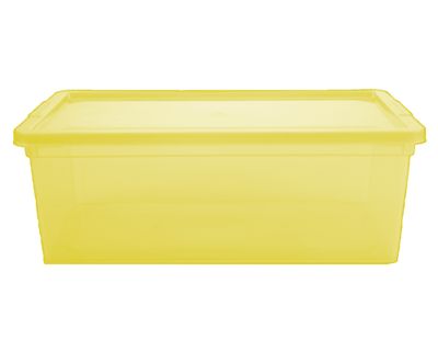 Caja organizadora lima plástico 11 lt