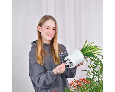 Imagen 2 del producto Sistema autorregante 5.0 Hydrus 4 piezas