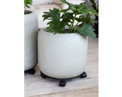 Imagen 2 del producto Transportador de plantas Plant Mover 15x40 cm metal