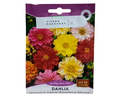 Semilla de flor corriente Dahlia Mix 1 g