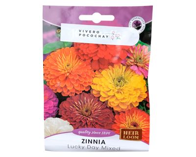 Semilla de flor corriente Zinnia Mix 3 g