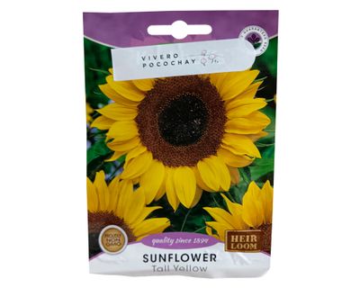 Semilla de flor corriente Girasol Mix 2 g