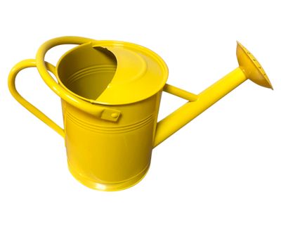 Imagen 2 del producto Regadera 3.5 lt