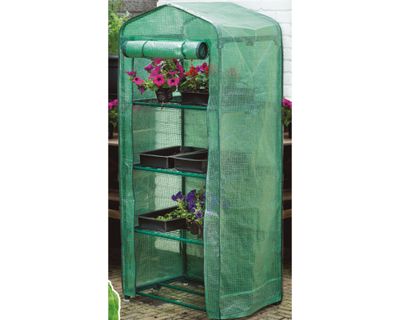 Imagen 2 del producto Invernadero mediano verde