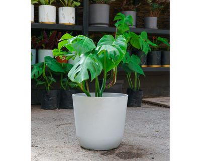 Imagen 2 del producto Macetero Madrid blanco 25x26.5 cm