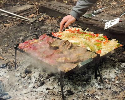 Imagen 2 del producto Plancha patas removibles