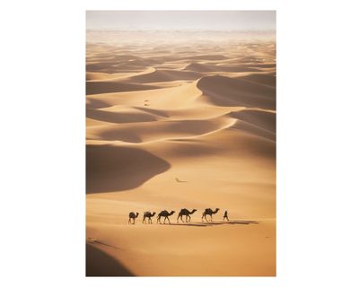 Lámina decorativa 70.8x50.8 cm D3