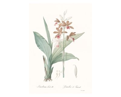 Lámina decorativa 100.8x70.8 cm D2