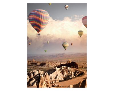 Lámina decorativa 100.8x70.8 cm D3