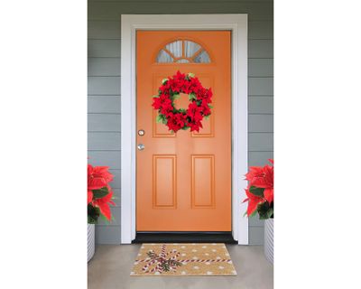 Imagen 2 del producto Limpiapiés Carta 40x60 cm