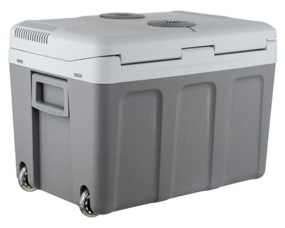 Imagen 1 del producto Nevera eléctrica 40L