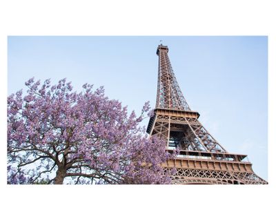 Cuadro canvas Paris 40x70x1.8 cm