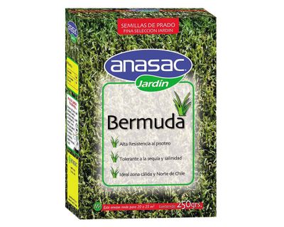 Semillas prado fina bermuda 250g Anasac
