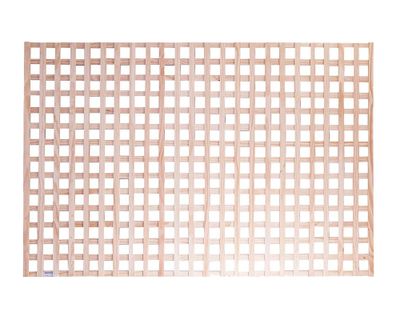 Treillage 60x200 cm 90°