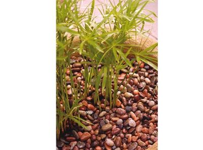 Imagen 2 del producto Piedra ágata 25 kilos FVH