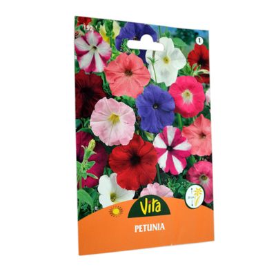 Imagen 2 del producto Semilla corriente petunia enana variada desinfectada x0.4g vita