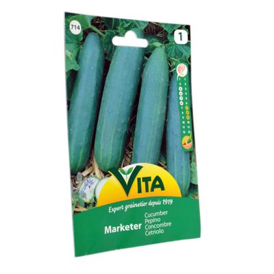 Imagen 2 del producto Semilla corriente desinfectada pepino medio largo mercado verde vita