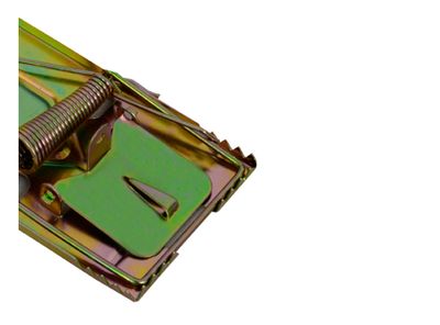 Imagen 2 del producto Trampa laucha Lioi