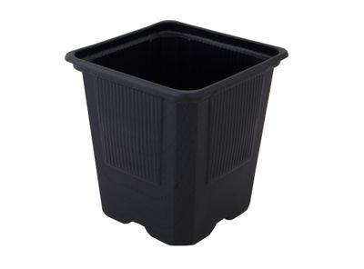 Imagen 2 del producto Vasos para transplantes de plantas 10 unidades Bernagroup