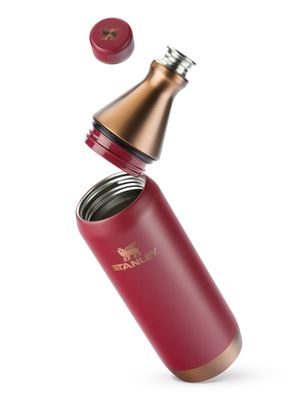 Imagen 2 del producto Botella Térmica All Day Slim Gilded Pomegranate 591 ml