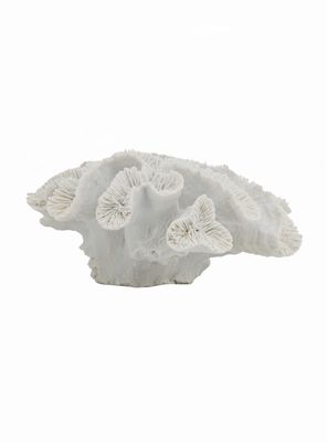 Imagen 1 del producto Coral Blanco 23 cm