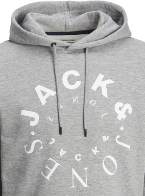 Imagen 2 del producto Polerón Hood