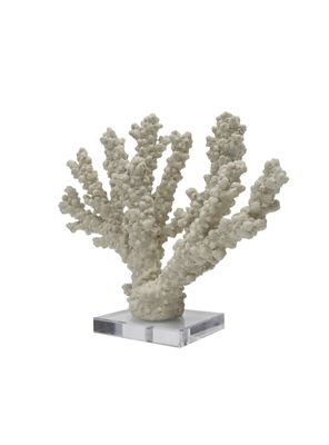 Coral Blanco 35 cm